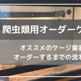 爬虫類用アルミフレームケージのオーダーメイドを依頼してみた｜ささき家の休日