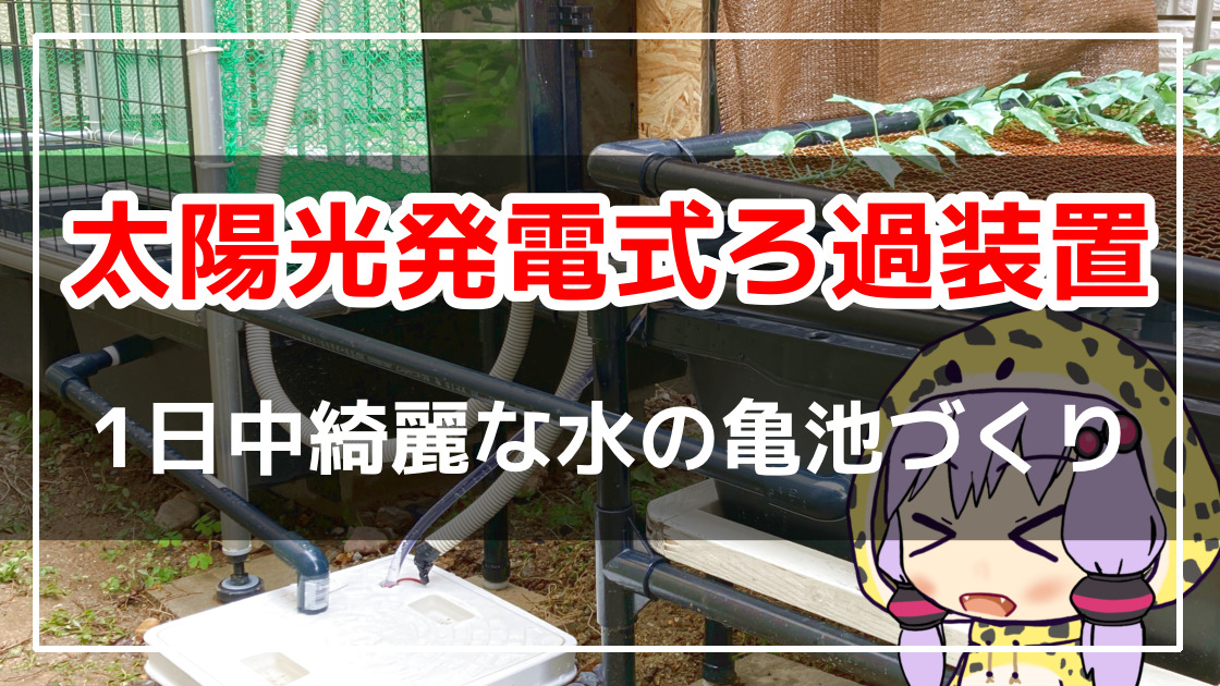 夜間にも動く太陽光発電式のろ過システムを自作してみました 亀池diy ささき家の休日